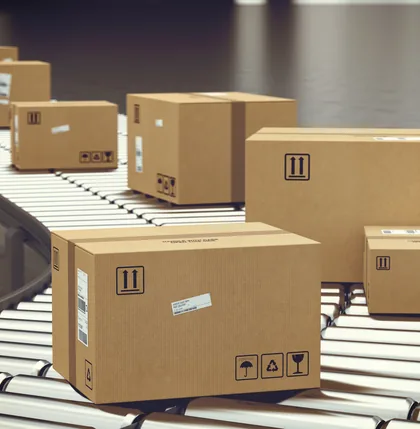 Boxes on conveyor roller